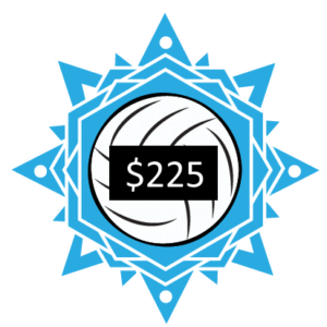 Winter Session Beach Volleyball Training - One Day Per Week