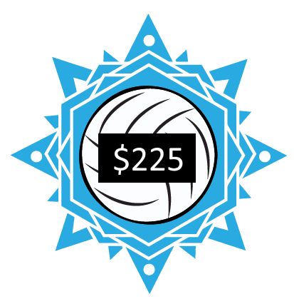 Winter Session Beach Volleyball Training - One Day Per Week